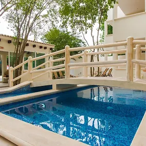 Casa Del Arbol , Playa del Carmen Mexico